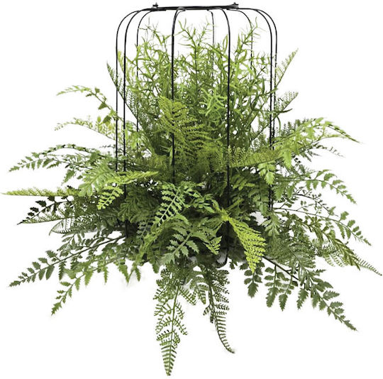 Fern Potted Plant Marhome