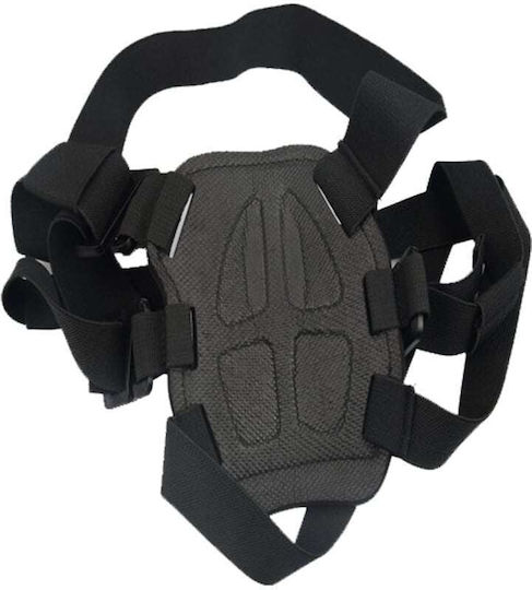 Dog Mount Double Dog Fetch Gopro Double