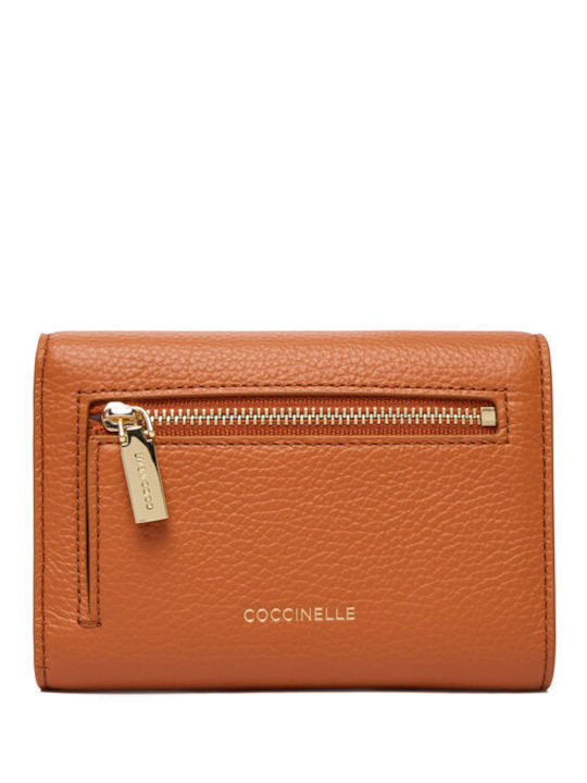 Coccinelle
