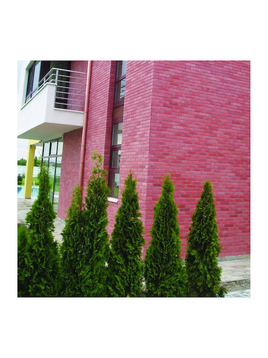 Facade Brick 24 X 6 X 2 Red