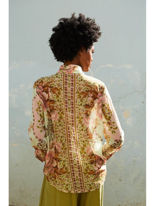 Zarra Collection