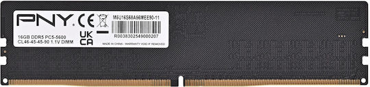 PNY Performance DDR5 with Module 1x16GB and Speed 5600 for Desktop