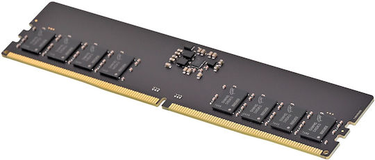 PNY Performance DDR5 with Module 1x16GB and Speed 5600 for Desktop
