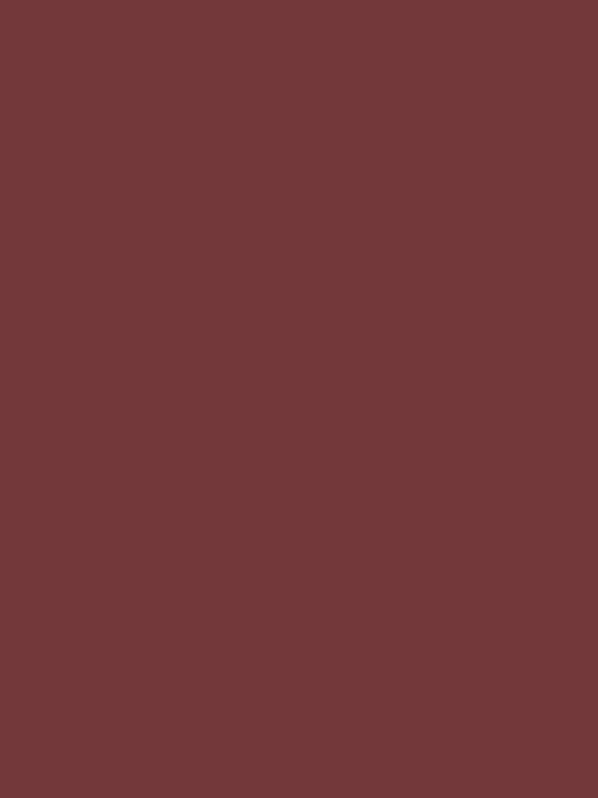 Damenteilose Overall Burgundisch