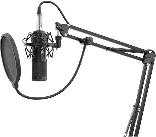 Genesis Radium 300 Πυκνωτικό Μικρόφωνο XLR Shock Mounted για Studio