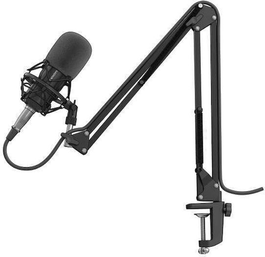 Genesis Radium 300 Πυκνωτικό Μικρόφωνο XLR Shock Mounted για Studio