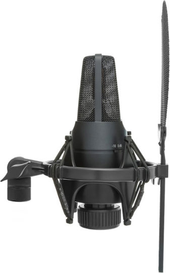 SE Electronics X1 S Seturi Microfon Condensator XLR Montat pe amortizoare pentru Vocale Pachet Vocal