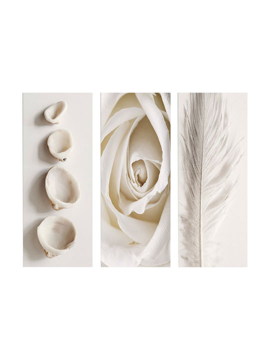 HomeMarkt Natural Elements Threefold Painting Wooden 50x60cm