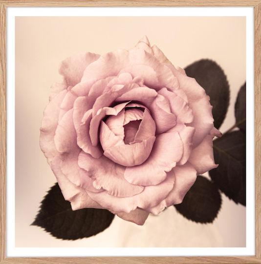 Walls Vintage Rose Ξύλινο