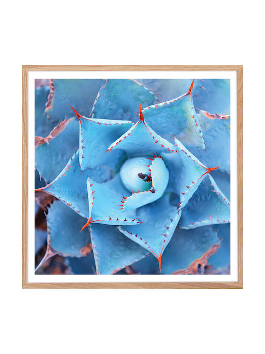 Walls Cactus Plant Frame Wooden 70x70cm