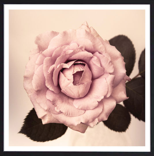 Walls Vintage Rose Ξύλινο