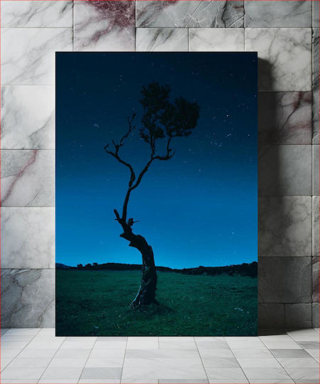Lone Tree Under Starry Night Μοναχικό Δέντρο Κάτω Από Την Έναστρη Νύχτα 1 σε Καμβά