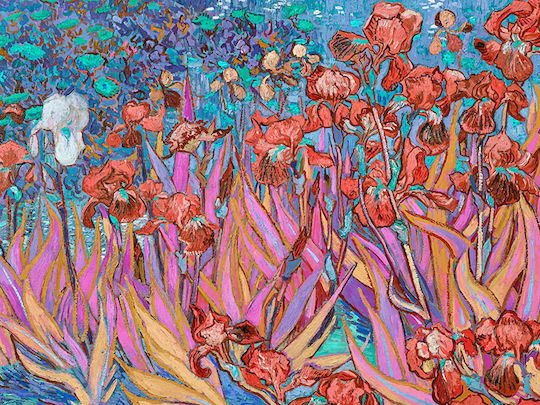 Poster Van Gogh Irises Art110 21cm X 30cm Λευκό Κάδρο Pvc 18x24
