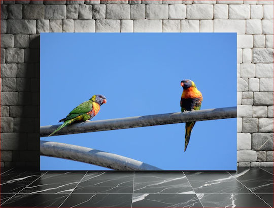 Parrots On A Metal Bar Παπαγάλοι Σε Μεταλλική Μπάρα 1 Μεταλλικός