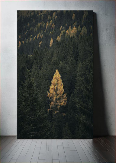 Golden Tree In Dense Forest Χρυσό Δέντρο Σε Πυκνό Δάσος σε Καμβά