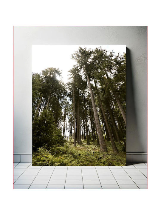 Πίνακας Forest Trees Under Sunlight Δασικά Δέντρα Κάτω Φως Του Ήλιου 80x120