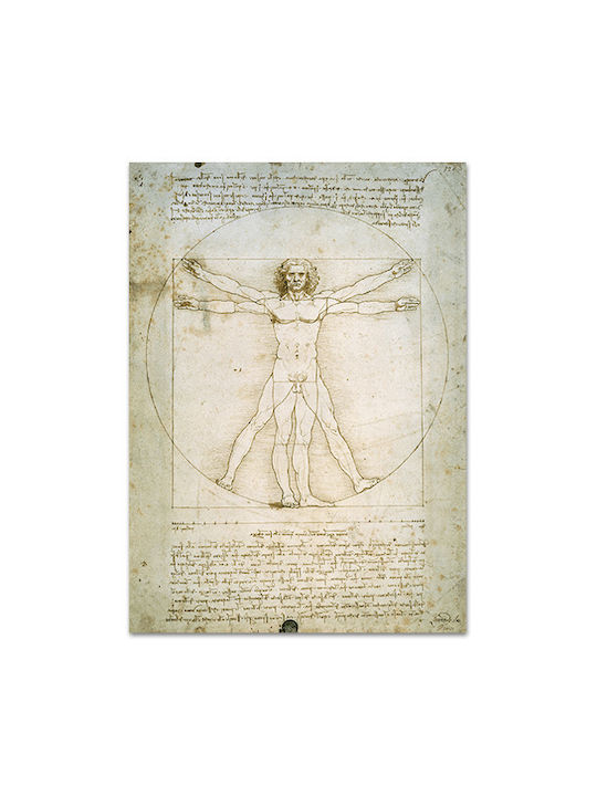 Canvas Leonardo Da Vinci The Vitruvian Man 96x135