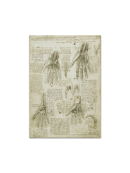 Καμβάς Leonardo Da Vinci Οστά Οι Μύες Οι Τένοντες Του Χεριού 96χ137