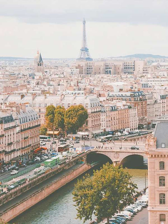 Poster Paris View Pst2583 30cm X 40cm Frame Dark Natural Wooden Brown