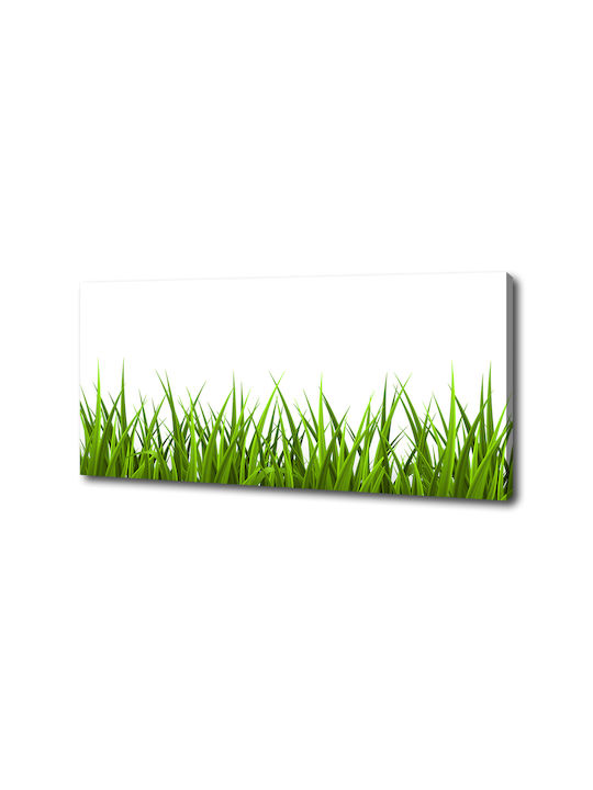 Panou De Perete Pânză Potrivit Pentru Decor Permanent Iarbă 125x50 Cm