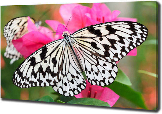 Gemälde Leinwand Moderne Dekoration Schmetterling Über Blumen 100x70 cm