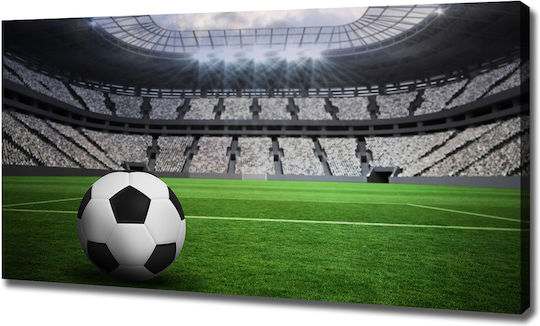 Panou Pânză Living Decorare Perete Minge Pe Stadion 120x60 Cm Panou Pânză Living Decorare Perete Minge Pe Stadion 120x60 Cm