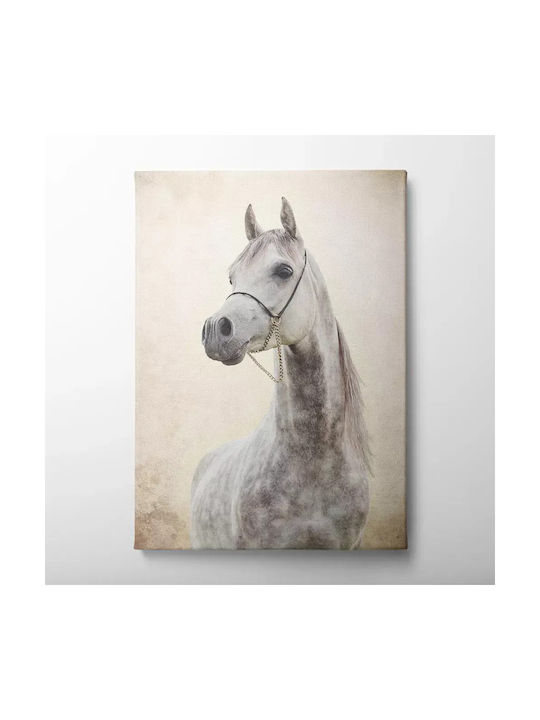 Canvas Painting White Horse Knv322 45cm X 65cm