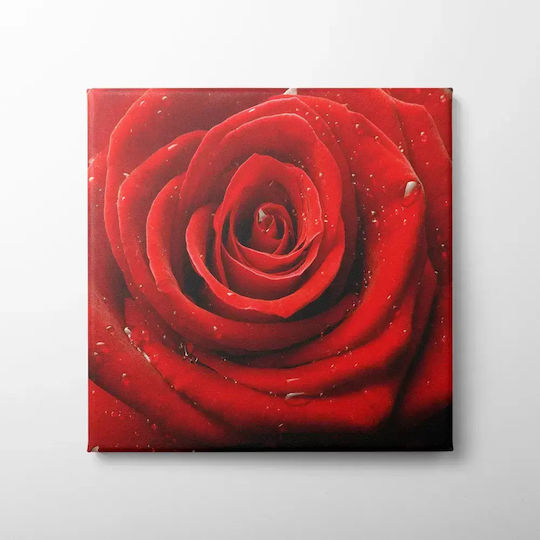Πίνακας Καμβά Κόκκινο Τριαντάφυλλο Knv147 80cm X 80cm