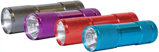 Energizer Flashlight LED with Maximum Brightness 80lm Metal Light White