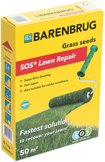 Barenbrug Σπόροι Πολύχρωμο 1kg