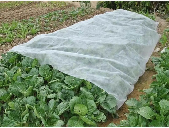 Non-woven 30g/m² Winter-Spring White 3.2 X 5m Tarpaulin