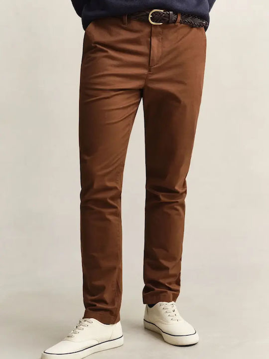 Chino Trousers in Slim Fit Brown