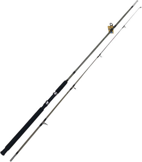 Καλάμι Ψαρέματος 3m 100-250gr
