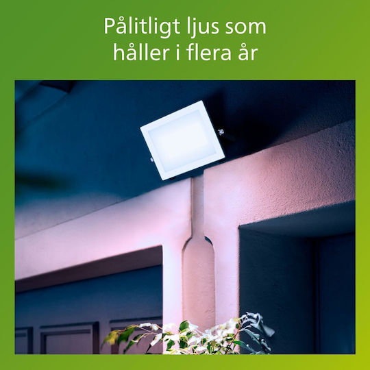Philips Στεγανός Προβολέας LED 50W Ψυχρό Λευκό 5000K IP65