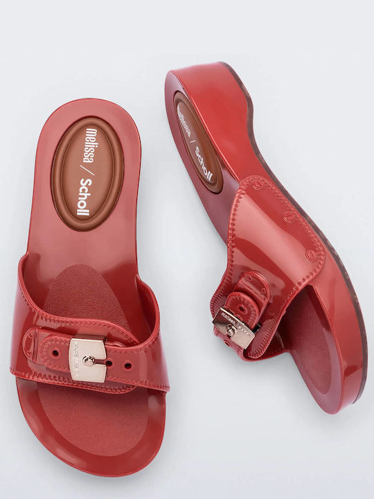 Scholl
