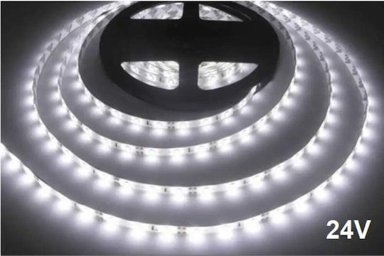 Vito LED Лента 24V 5м Тип SMD2835