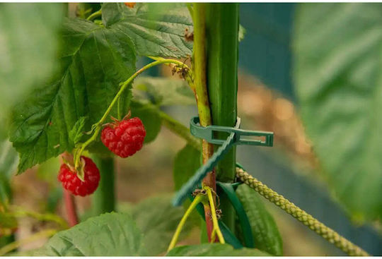 Legături Pentru Plante 17cm 50buc Verzi Bradas Tyt54170gr/50