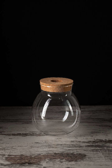 Zamia Hidroponică Plantă De Interior 12/35cm Sferă De Sticlă Transparentă 980ml Zamia Hidroponică Plantă De Interior 12/35cm Sferă De Sticlă Transparentă 980ml