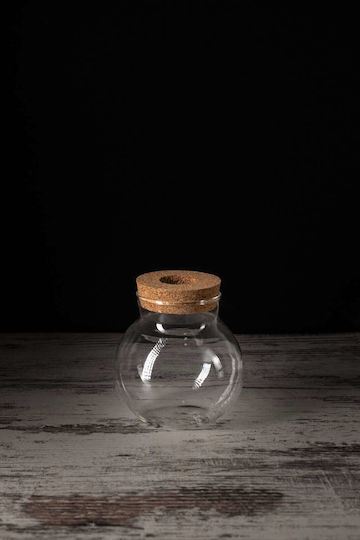 Zamia Hidroponică Plantă De Interior 12/35cm Sferă De Sticlă Transparentă 480ml Zamia Hidroponică Plantă De Interior 12/35cm Sferă De Sticlă Transparentă 480ml