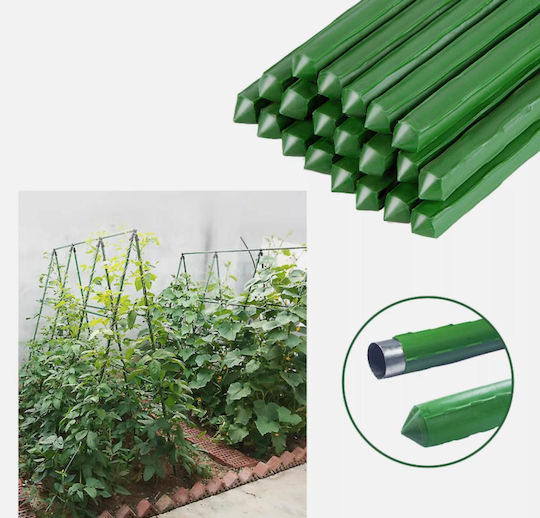 Metal Plant Stake Ø11 Mm 60 Cm