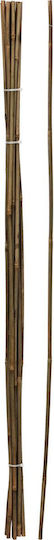 Bamboo Stake 116cm 10pcs