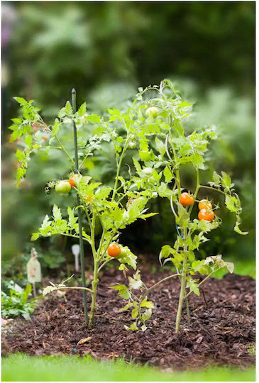 Plant Stake 150cm