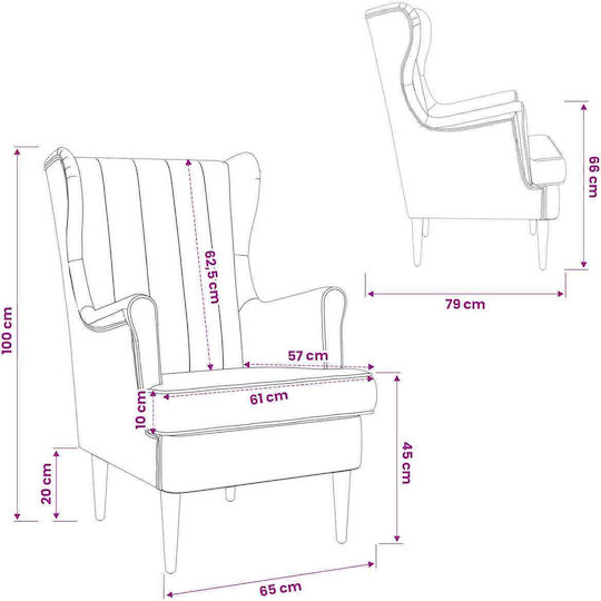 Velvet Pink Armchair 65x79x100cm