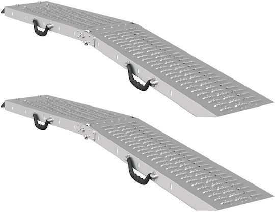 Vidaxl Loading Ramp 2 Pieces Silver 166 x 22.5 x 4.5 cm
