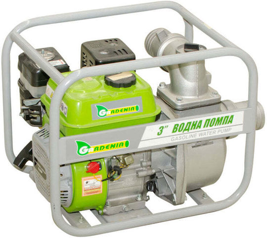 Gardenia Ltp80 Gasoline Pump