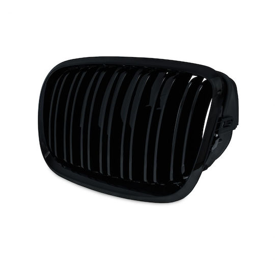 Dekorative Auto Maske BMW X5 (E70) / X6 (E71) / M4