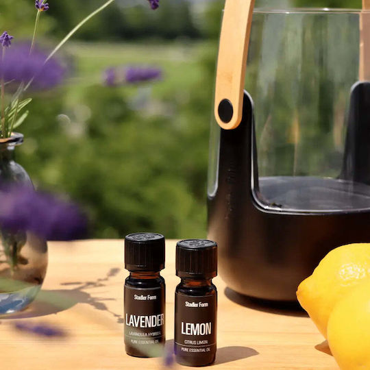 Lavender Essential Oil