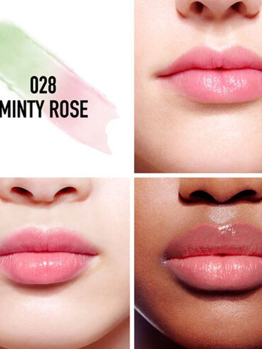 Dior Addict Lip Maximizer Комплект за грим за устни Dior Addict Lip Maximizer Комплект за грим за устни