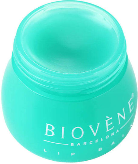 Biovene Lippenbutter Avocado 8g