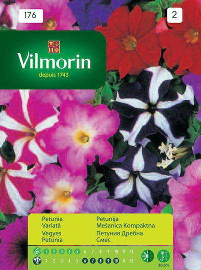 Petunia Small Mix Seeds Vilmor